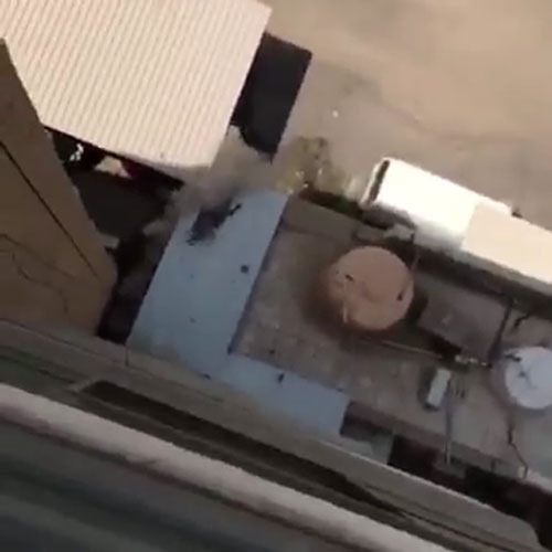 فيديو مروّع ... سقوط عاملة من الطابق السابع ... ومخدومتها اكتفت بتصويرها!